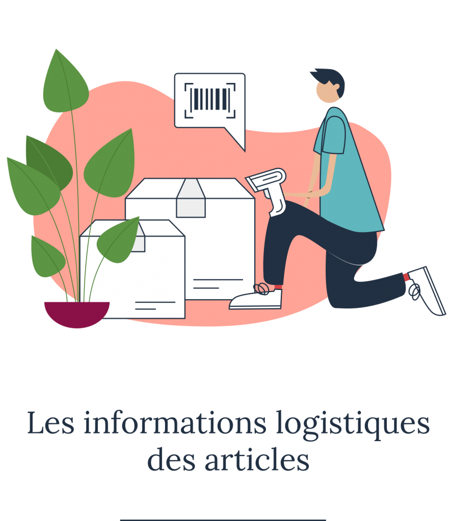 Les informations logistiques des articles